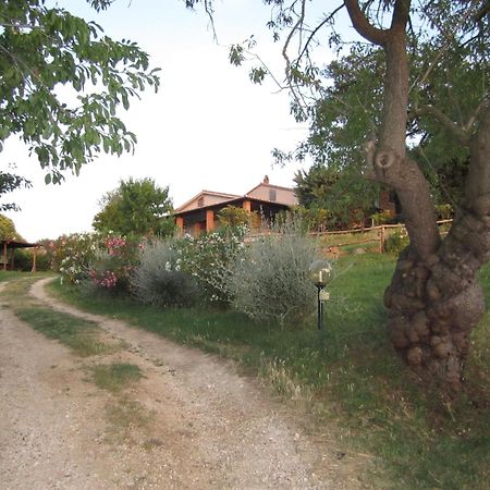 Semproniano Agriturismo Casa Fibbianello מראה חיצוני תמונה