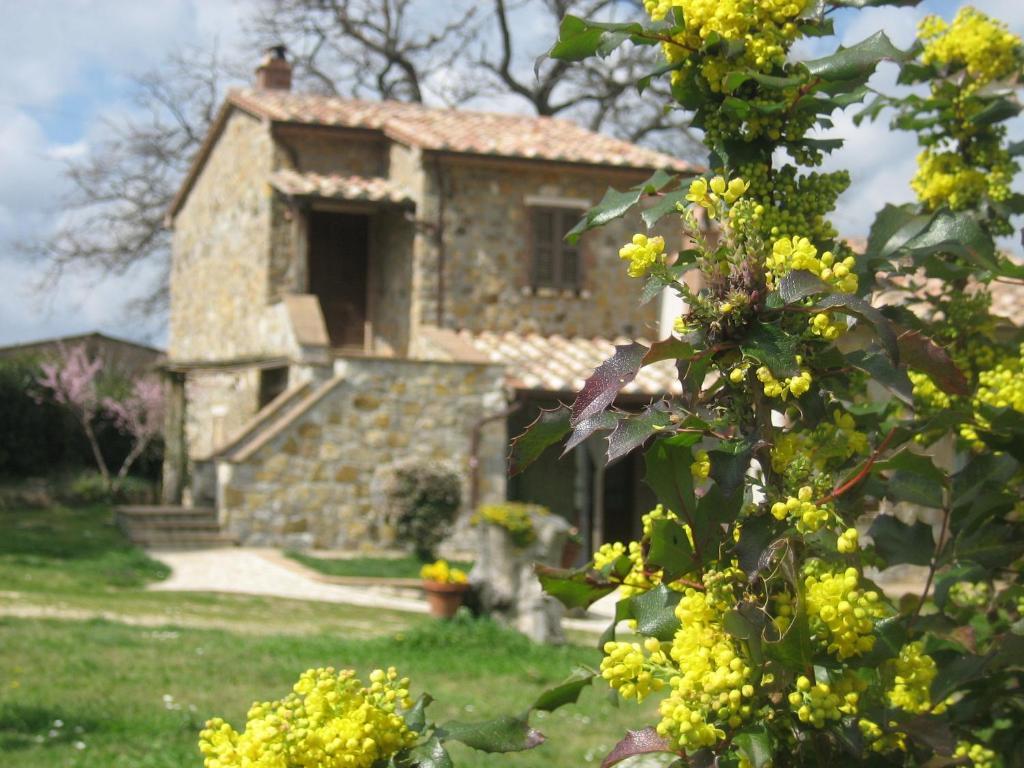 Semproniano Agriturismo Casa Fibbianello חדר תמונה