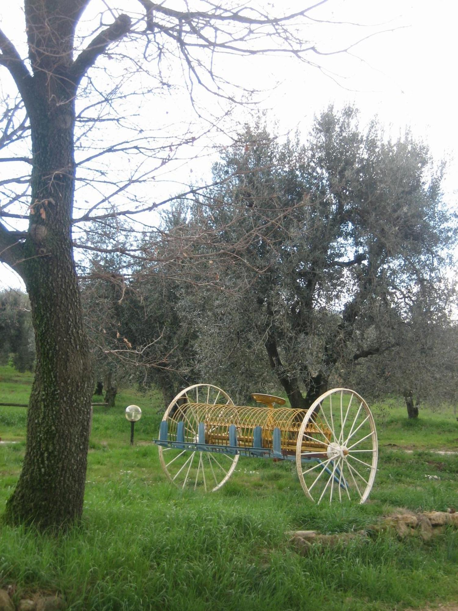 Semproniano Agriturismo Casa Fibbianello מראה חיצוני תמונה
