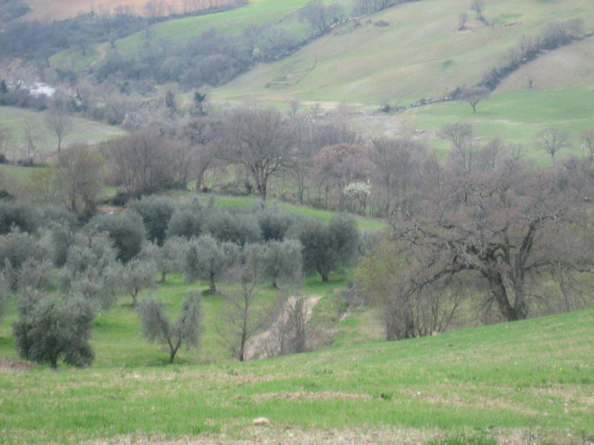 Semproniano Agriturismo Casa Fibbianello מראה חיצוני תמונה
