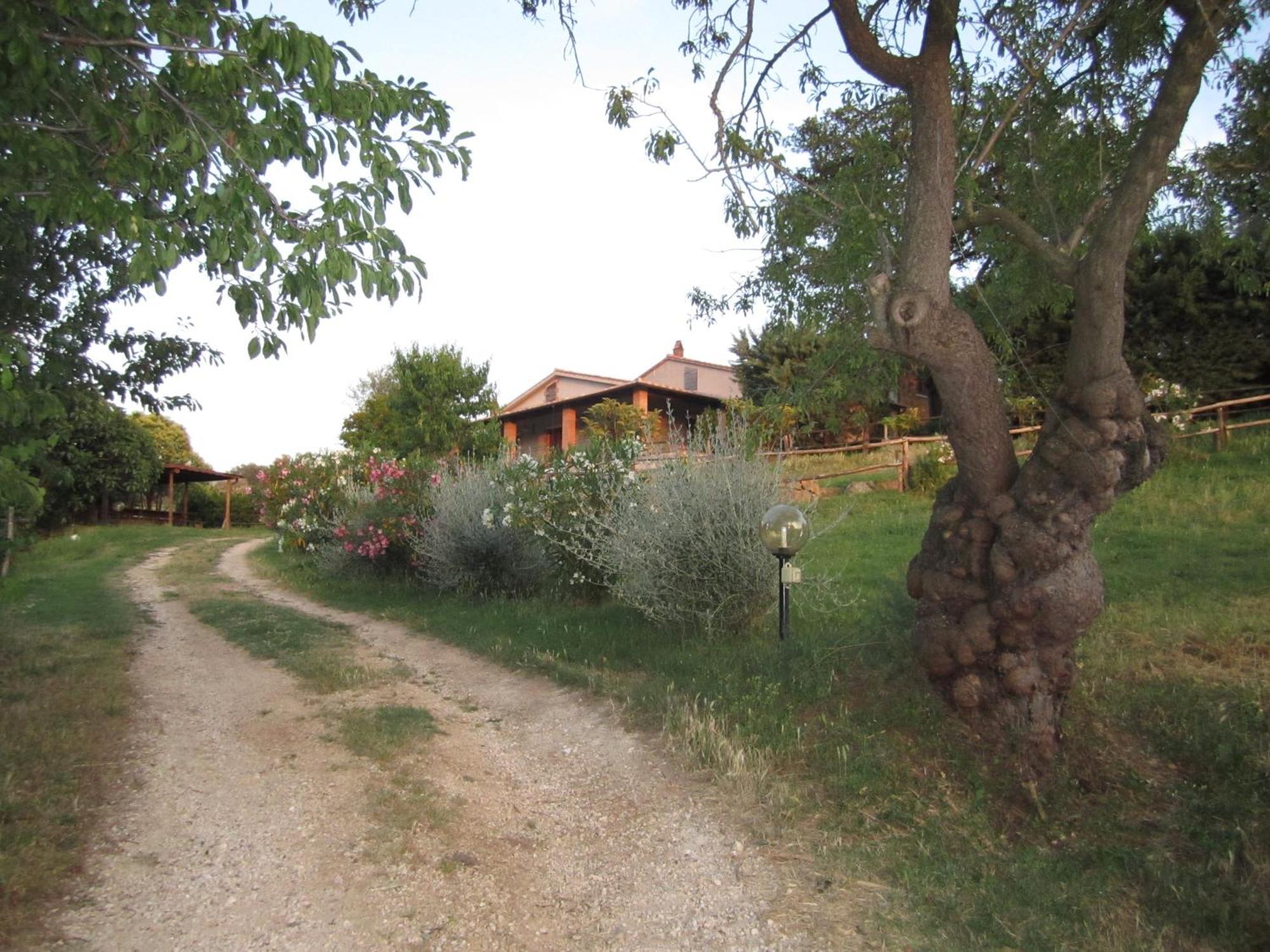 Semproniano Agriturismo Casa Fibbianello מראה חיצוני תמונה