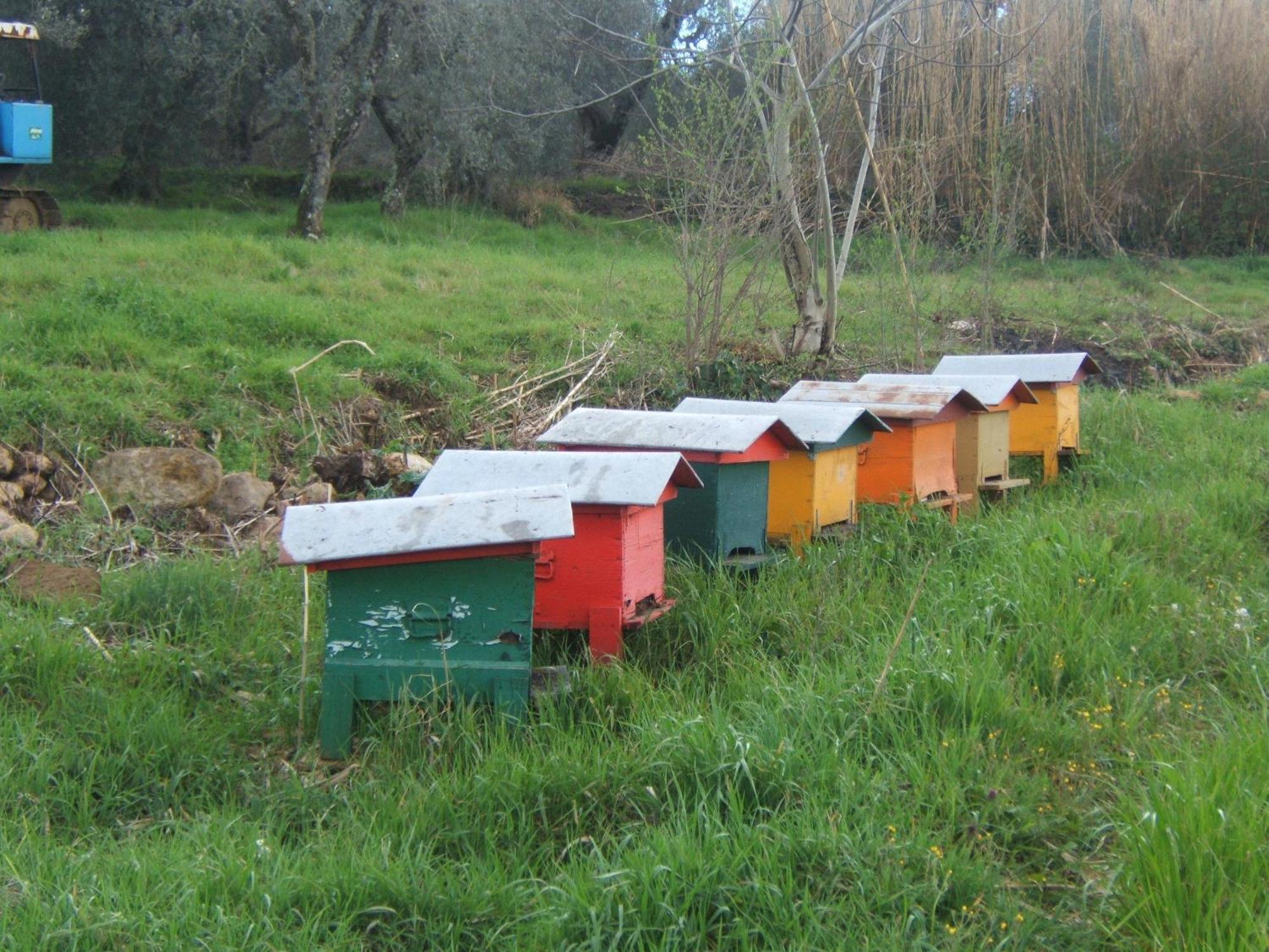 Semproniano Agriturismo Casa Fibbianello מראה חיצוני תמונה